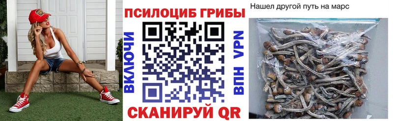 дарк нет как зайти Бородино Галлюциногенные грибы Magic Shrooms